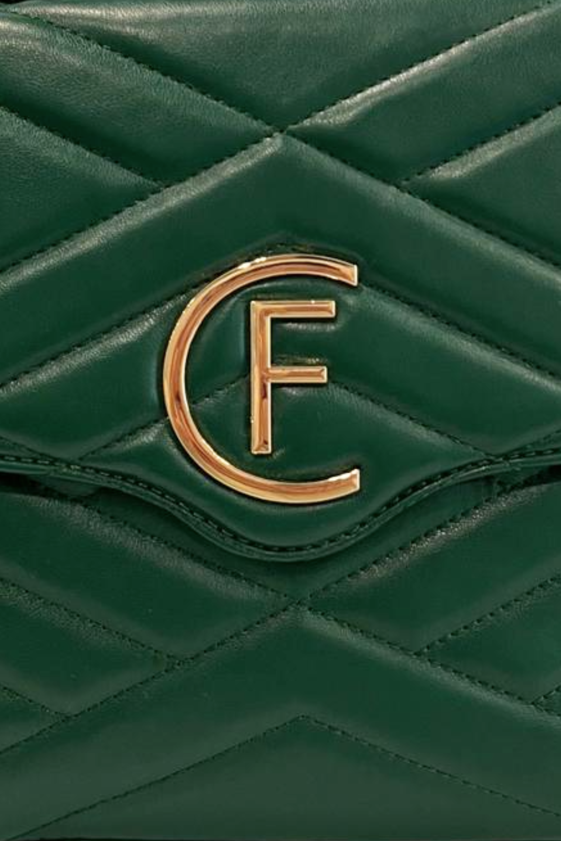Cristinaeffe Borse a Mano Verde