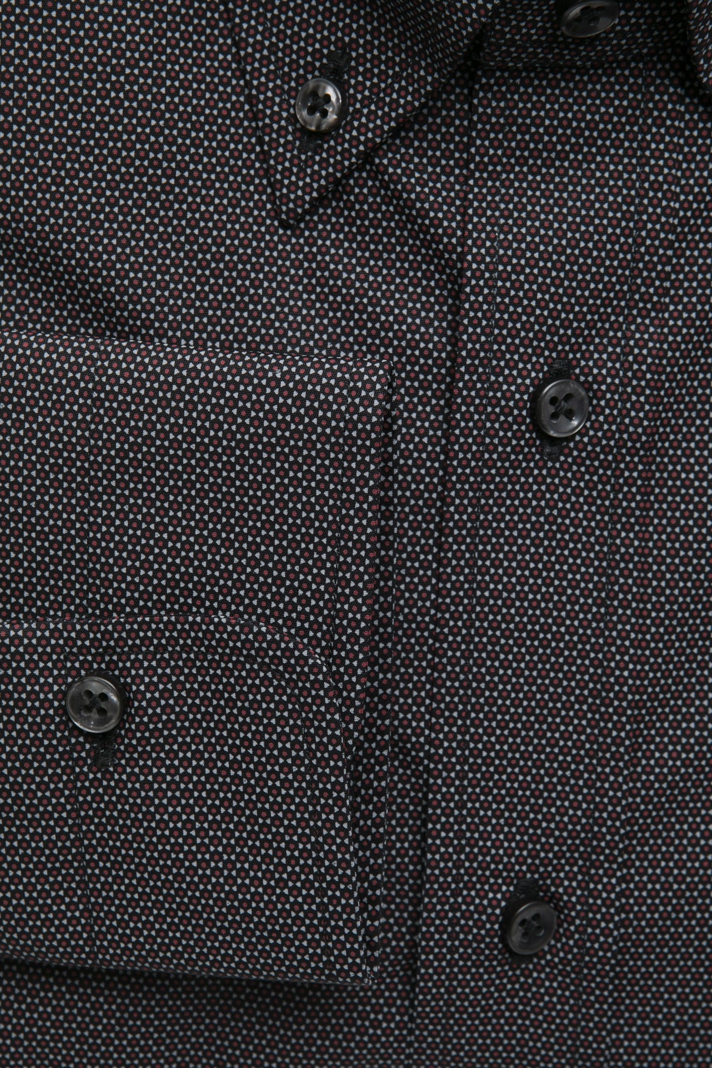 Robert Friedman Camicie Nero